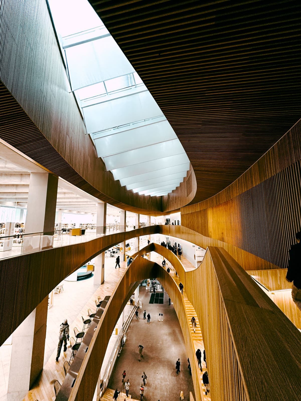 Intérieur en bois courbe de la Bibliothèque centrale de Calgary, vu depuis les étages supérieurs.